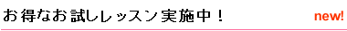 お得なお試しレッスンを実施中